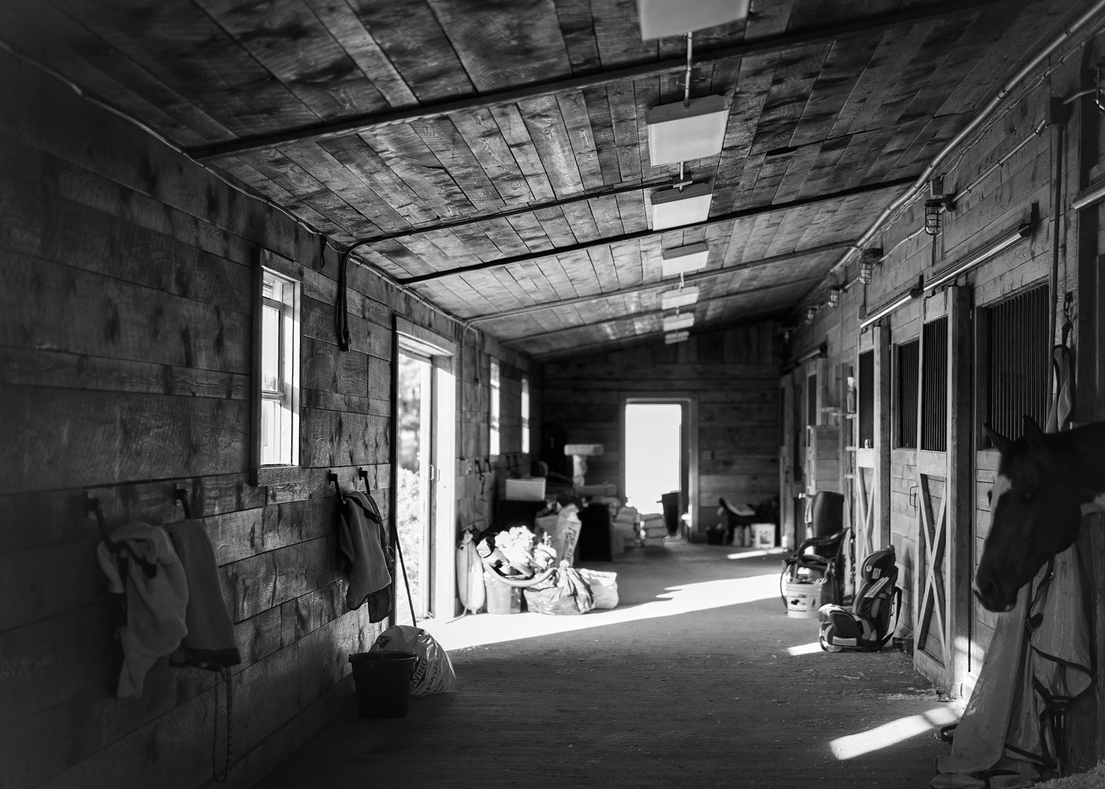 Black and white interior of a horse stable with raking light through the doorways